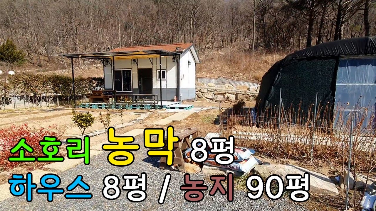 🌳울산의 마지막 청정구역 / 울주군 상북면 소호리 농막 / 하우스🏠