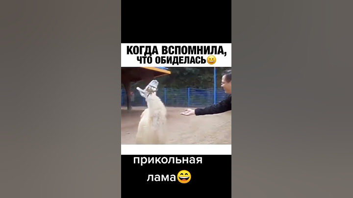 Когда вспомнила , что обиделась...приколы тик ток