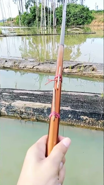 LAGI MANCING IKAN | HALU STORY #shorts  #storyhalu #storyig #storywa