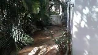 Hamber 3Bhk Flat For Rent In Richmond Town