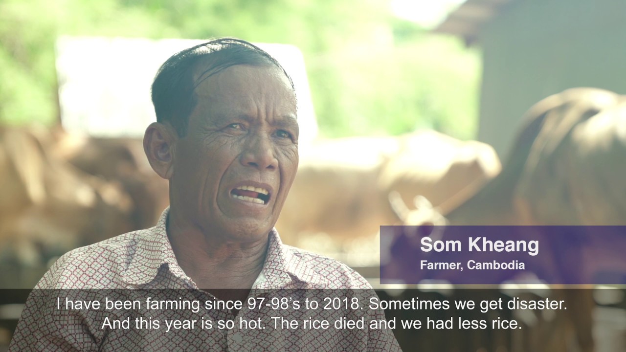 Journey to the Mekong Delta 