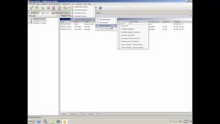 Prism Asset Manager Running Reports