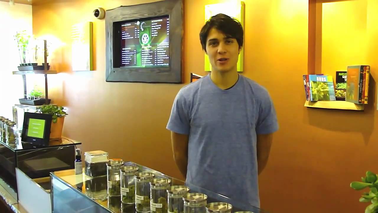 Medithrive Weekly Update 11-6-2010.