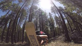 Backyard Pine Boarding Featuring the Neighbors