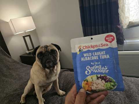 Why I Buy this Recipe Size Pouch Of Wild Caught Albacore Tuna for Traveling Meals
