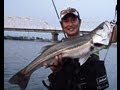 こんな釣り方とは！日中に大型シーバスが連発！