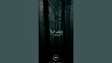 مقطع سيبكيك لا محالة القارئ سمير عزت