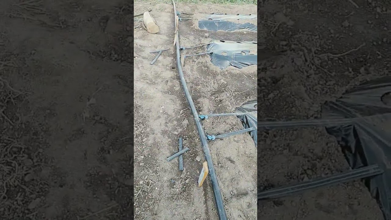 29 августа 2023 г.