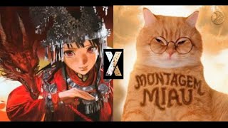 MIDU ECHOING X MONTAGEM MIAU _ MASHUP 
