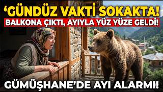 Gümüşhanede Ayı Paniği: Evin Balkonuna Kadar Geldi