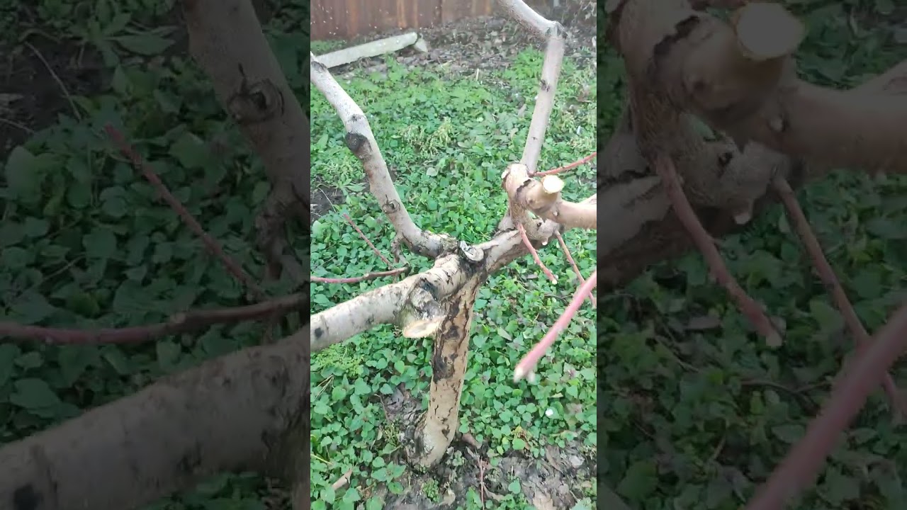 21 февраля 2026 г.