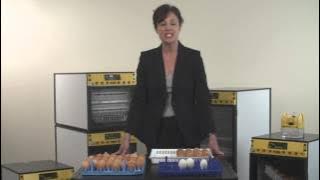 Brinsea OvaEasy Cabinet Egg Incubators