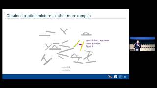 MQSS 2022 | Cross linking | Şule Yilmaz-Rumpf