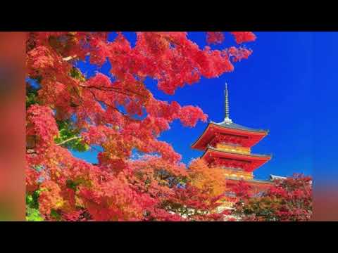 奏/スキマスイッチ を歌ってみた