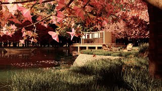 lake House Visualization with D5 & Rhino 3D