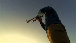 Video thumbnail of "The Rose Instrumental von Moritz Siegert"