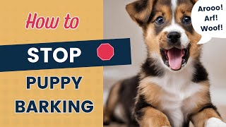 Puppy Barking Tips For Your Noisy Dog by How To Train A Dream Dog 3,634 views 3 months ago 10 minutes, 55 seconds