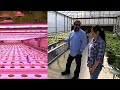 Awesome High Tech Hydroponics at CropKing