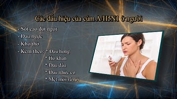Bệnh Cúm A H5N1 ở người và cách phòng chống