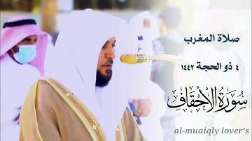 بلمحات كردية خاشعة يرتل الشيخ ماهر المعيقلي _ ما تيسر من سورة الأحقاف | صلاة المغرب 4 ذو الحجة 1442