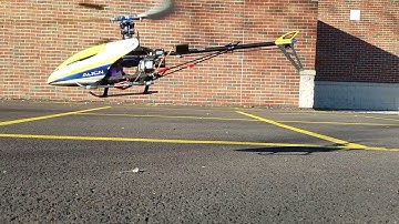 Beginner Trex 450 SE V2  Practice Hover IV