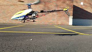 Beginner Trex 450 SE V2  Practice Hover IV