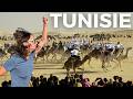 C Est L événement De L Année Dans Le Sud Tunisien Le Festival De Douz 