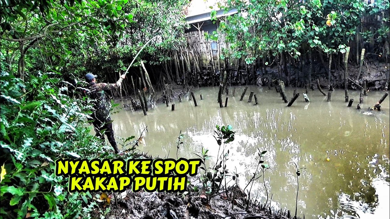 Full Seharian Mancing tiga jenis ikan,dari mancing ikan nila,ikan bandeng,ikan kakap