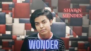 Shawn Mendes - Wonder Cover (Sahil Sanjan)