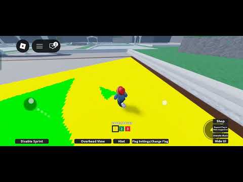 Roblox [paint flags] 