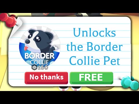 Border Collie Worth Adopt me Trading Value