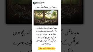 #plants #tree #talk with #roots #food #info #science #research #fact #knowledge #how #viral #share