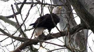What's in a Name? -- Eagle View Elementary School