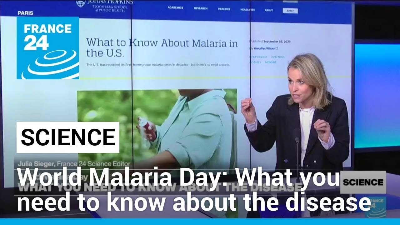 World Malaria Day 2024: What you need to know about the disease • FRANCE 24 English - FRANCE 24 English
