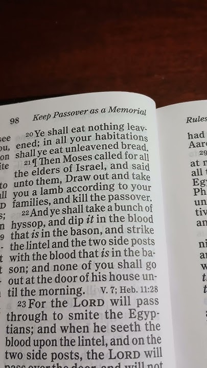 bible-reading-exodus-chapter-12-verse-1-4-bible-biblereading