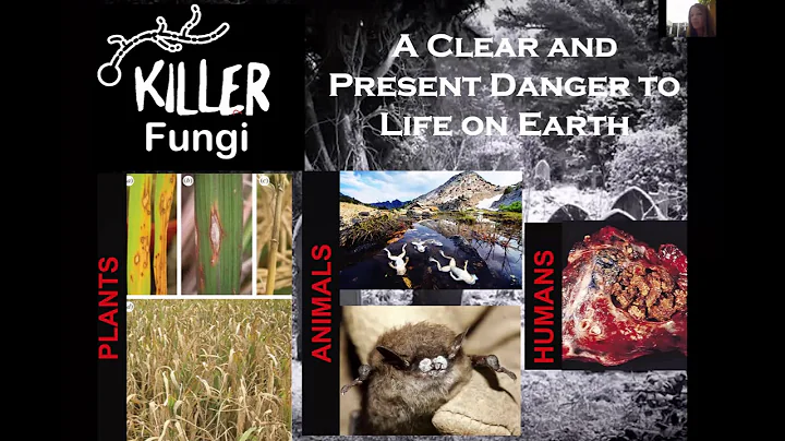 BMS Talks: Janet Quinn - Killer Fungi: A Clear and...
