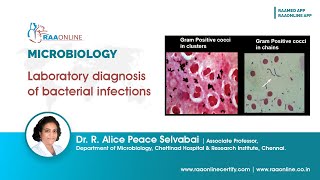 Laboratory diagnosis of bacterial infections