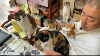 那須の長楽寺です。おっちょこちょいのおかみと優しい住職と猫盛りだくさんです。