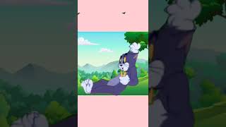 tom and jerry wiki#short #shortvideo #youtubeshorts #subscribe