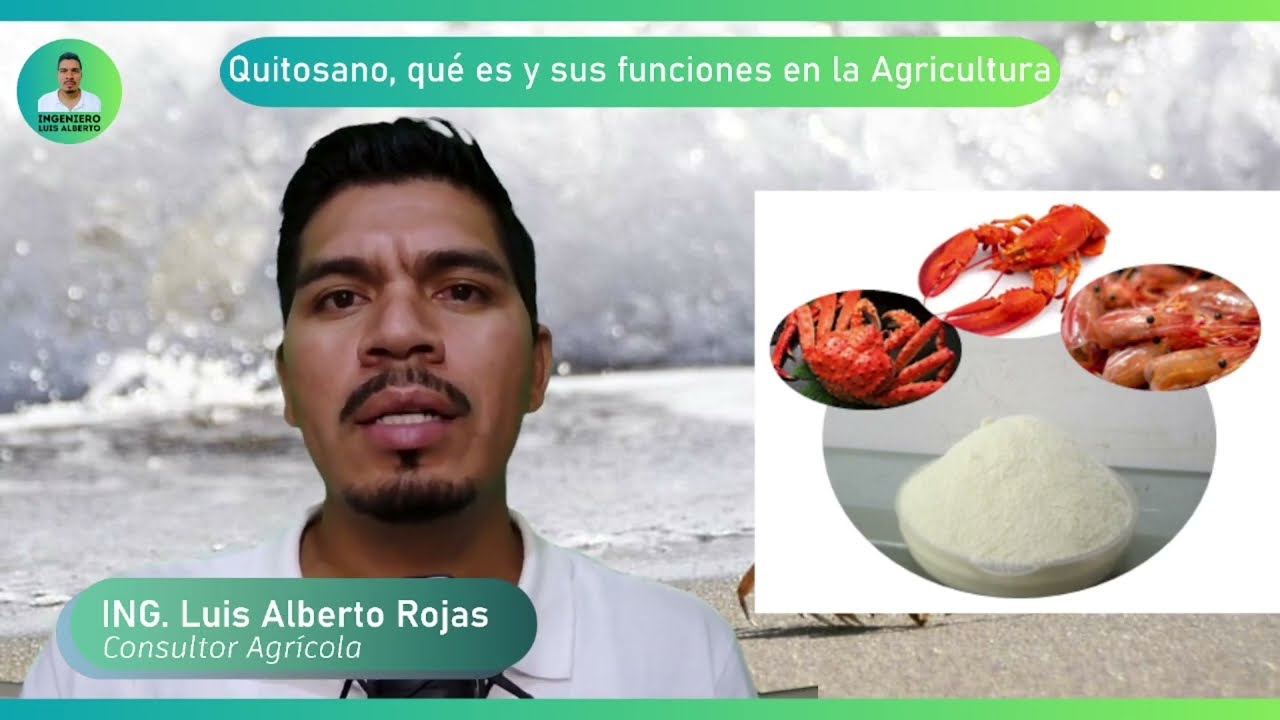Ing. Luis Alberto Rojas 👨‍🌾👨‍🔬 | Quitosano ¿qué es? y sus Funciones en la Agricultura 🦐🦀🦞 #Agrotips