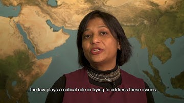 IHE Delft 💧 Professor Joyeeta Gupta - On water and international law