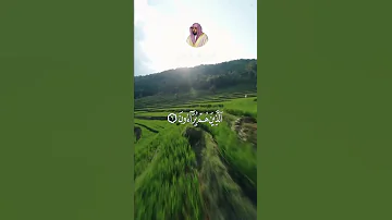 من سورة الماعون بصوت الشيخ ماهر المعيقلي الآيات 4 5 6 7 