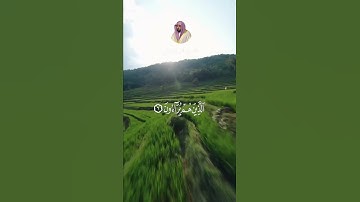 من سورة الماعون بصوت الشيخ ماهر المعيقلي الآيات 4-5-6-7