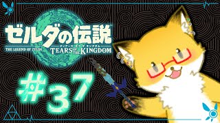 #37【ゼルダの伝説　ティアーズ オブ ザ キングダム】ストーリー進めたりする！【ちゅうけんぽちこう】