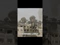 米軍特殊部隊にも認められた銃器メーカー "Daniel Defense"とは!? #shorts