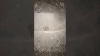 異音(カラカラ 金属音っぽい) BMW E87 116i 車体下から録音