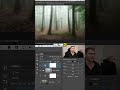 🌿 Vous modifiez les verts dans Photoshop pour corriger le feuillage ? Essayez plutôt… les jaunes !