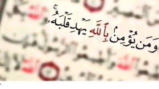 #خيرة#ام البنين ع 1/ا ص ب ه س ش ت ر ح و ل ن ز ع  2/ج خ ث ك ي د ط ض م ظ ف ق ذ غ