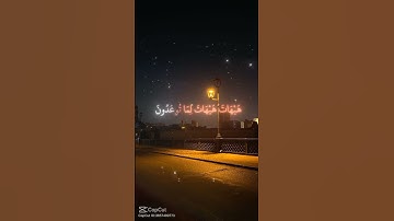 القرآن الكريم ##[الله] ALAH سورة العنكبوت