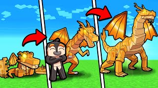 How To Hatch A Gold Dragon Egg! (Minecraft Dragons)